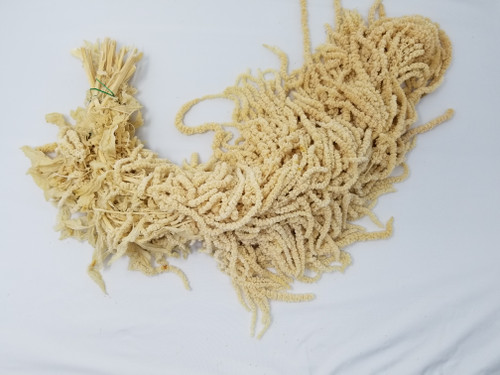 5f64e1c3-eb12-4636-8e6f-e255635ac620.jpg Amaranthus White Preserved to - Image 1