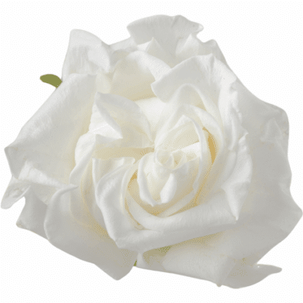 Rose Helicopter 50cm rprima