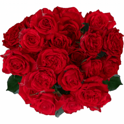 RoseSpray Thats Red Jewel tess