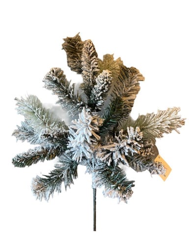 Pine Spray Snowshoe Pick x9 each