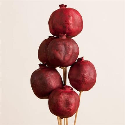 Pomegrantes on Stem 6pcs/pk