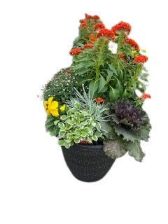 14" Fall Deck Pot
