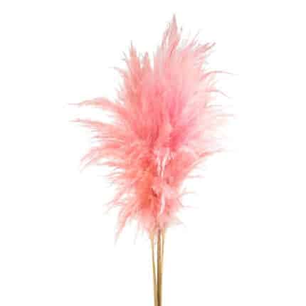 Pampas Grass Painted Pink hole