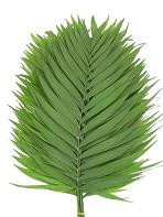 EMERALD small pl& fol