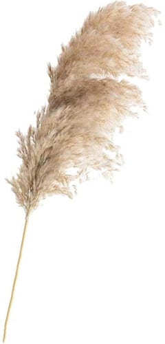 GRASS Feather Natural 3pc/bu