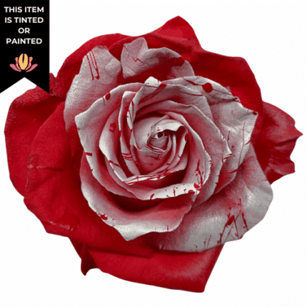 Rose Xmas Bulb 50cm Florecal - R XMA BUL