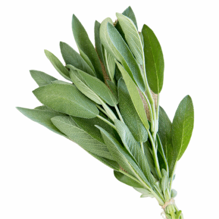 Sage paradise