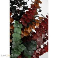 Euc Multi-color (1 Lb bunch)