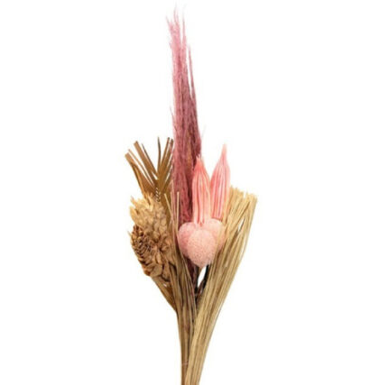 Bouquets Dried Magical Blush h