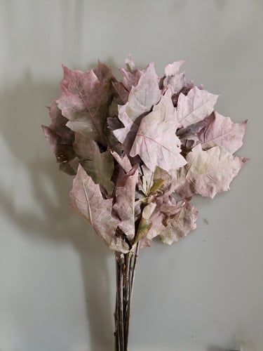 Oak Leaves Frosted Pink holl