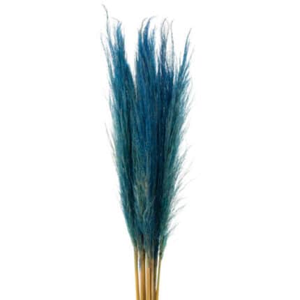 Pampass Grass Dried Denim holl