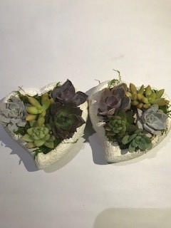 5" POTTED HEART SUCCULENT GARD