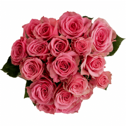 RoseSpray Deep Pink Jewel tess
