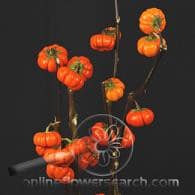 PUMPKIN trees cal