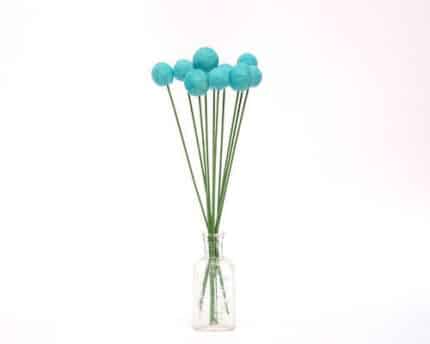 Craspedia Pop Blue&Grn Mi