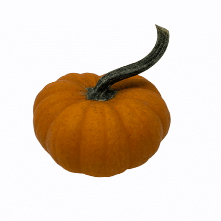 Pumpkins LilOrgMan raabs(cs)