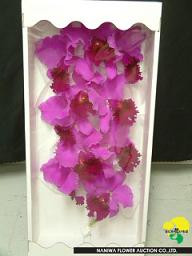 Cattleya pink jap(st)