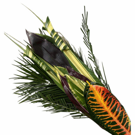 Bouquets Foliage national