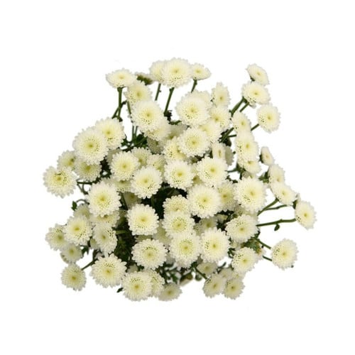 740f9328-0938-47b3-bfda-6d5959859d7a.jpg Pom Button MontBlanc BM - Image 1