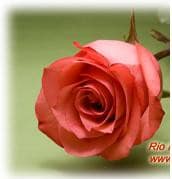 High n booming 70 ecuanros