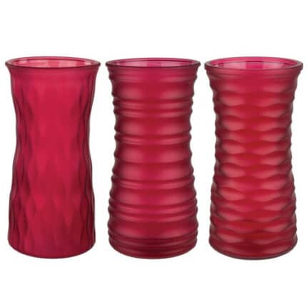 Rose Vs 9 3/4" ruby frost 12/c