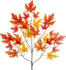 Maple Camflor