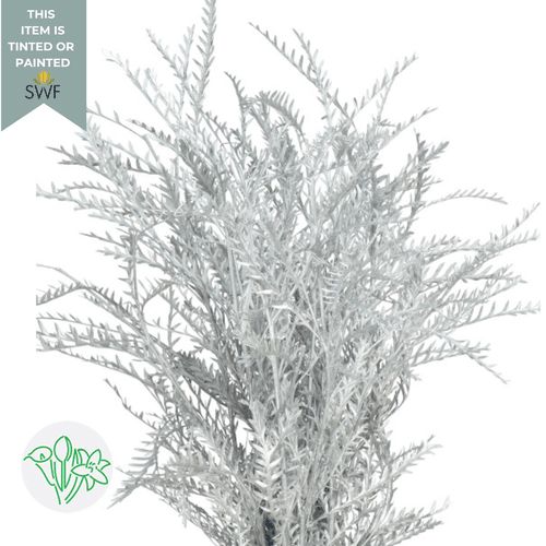 750e9caf-9ddf-44c4-86d6-61f9fe70e665.png Grevillea Tinted Silver holex - Image 1