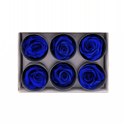 Lulu Rose Box Preserved Dk Blu