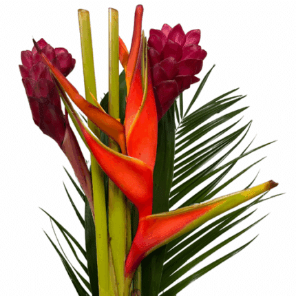 Heliconia Tropical Night Bouqu