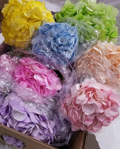 Hydrangea Pastel Painted hydra(STEM)