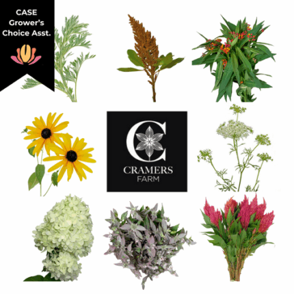 Cramer Mixed Box