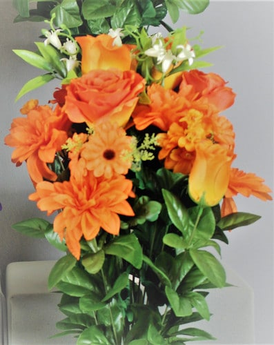 Dahlia/rose/stock bush x24 org