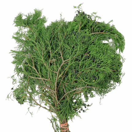 Blueberry Cedar