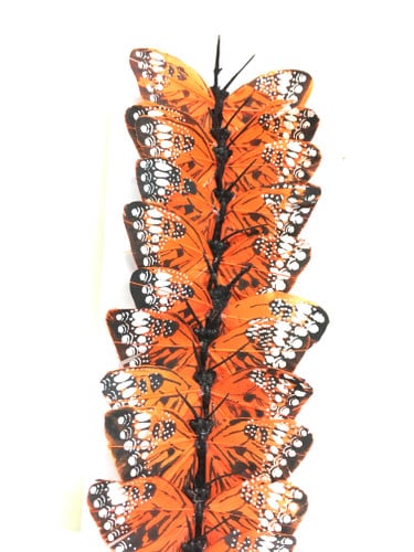 Butterfly 2.5" asst 1dz/bx #6869