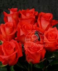 IMPULSE 70 rfi