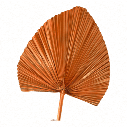Palm Dried Orange Metallic holex(STEM)