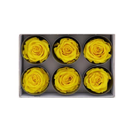 Lulu Rose Box Preserved Yellow