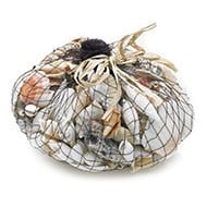 Shells 500grams mixed