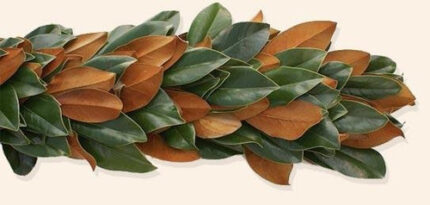 25' MAGNOLIA GARLAND