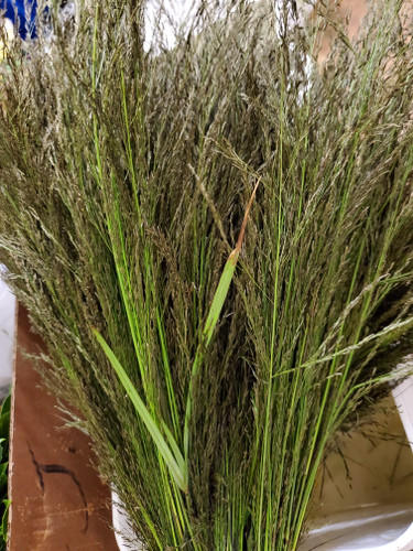 Grass Black Love tutuli