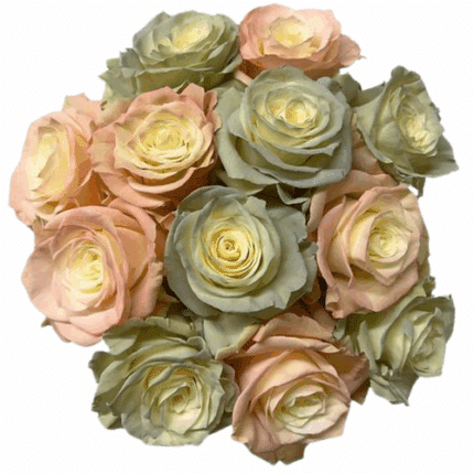 Rose La Vie 50 florecal