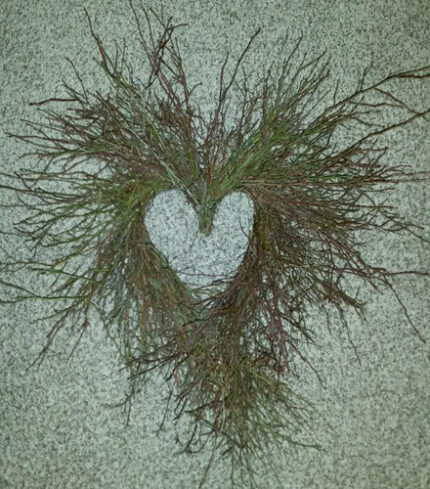 Birch Huckleberry 24" heart each