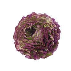 Ranunculus Pon Malva fl board