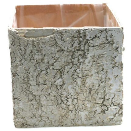 Birch Square pots 4.75"x4.75 & 5.5"x5.5" Lt Brown set of 2