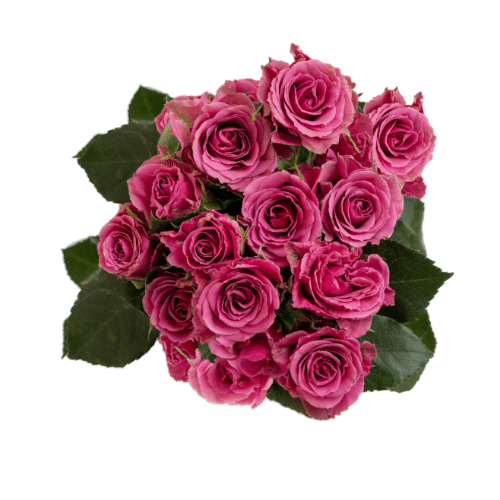 92425626-f2c5-4d1f-9a0f-a33563599af1.png RoseSpray Purple Jewel tessa - Image 1