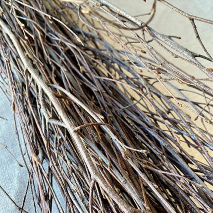 BIRCH Natural branches 10pcs/p