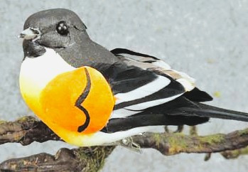 BIRD 4" Baltimore Oriole fea/m