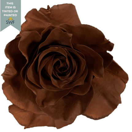 Rose Cioccolato 50cm Florecal