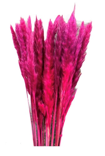 Pampass Silvy Dyed Cerise holl