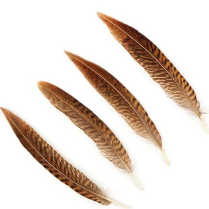 Feather Pheasant golden (sleev